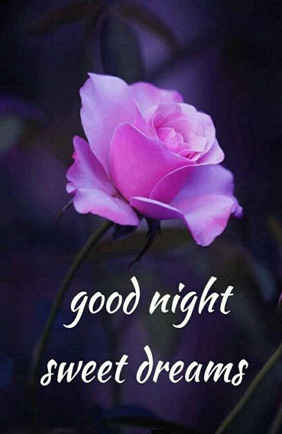 Good Night Friends